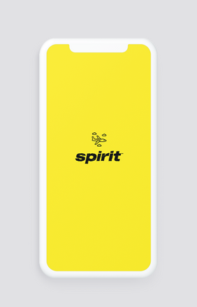 Spirit Airlines Redesign